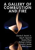 E-Book (pdf) Gallery of Combustion and Fire von Jr. Charles E. Baukal