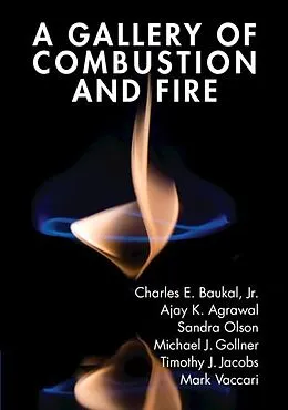 E-Book (pdf) Gallery of Combustion and Fire von Jr. Charles E. Baukal