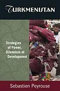 E-Book (pdf) Turkmenistan: Strategies of Power, Dilemmas of Development von Sebastien Peyrouse
