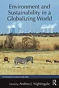 E-Book (pdf) Environment and Sustainability in a Globalizing World von 