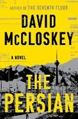 Kartonierter Einband The Persian von David McCloskey