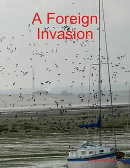 E-Book (epub) A Foreign Invasion von Clive Webster