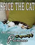E-Book (epub) Spice the Cat: The Making of a Little Spoilt Princess von Catherine Yahanza