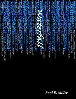 E-Book (epub) Waterfall von Rani Elizabeth Miller