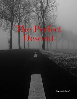 E-Book (epub) The Perfect Descent von Jessica Holbrook