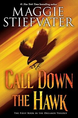 Fester Einband Call Down the Hawk (the Dreamer Trilogy, Book 1) von Maggie Stiefvater