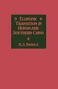 E-Book (pdf) Economic Transition in Hunan and Southern China von A. S. Bhalla