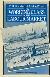 E-Book (pdf) The Working Class in the Labour Market von R M Blackburn, Michael Mann