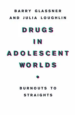 E-Book (pdf) Drugs in Adolescent Worlds von B. Glassner, J. Loughlin