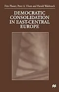 E-Book (pdf) Democratic Consolidation in East-Central Europe von Fritz Plasser, Peter Ulram, Harald Waldrauch