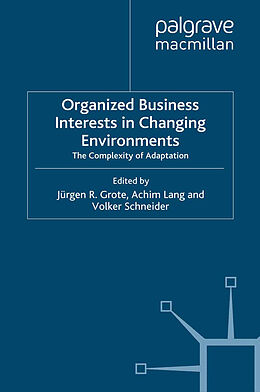 Kartonierter Einband Organized Business Interests in Changing Environments von 
