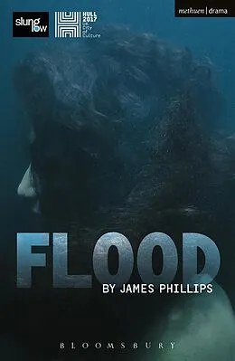 E-Book (epub) Flood von James Phillips