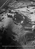 E-Book (epub) Excavations at Dryslwyn Castle 1980-1995 von Chris Caple