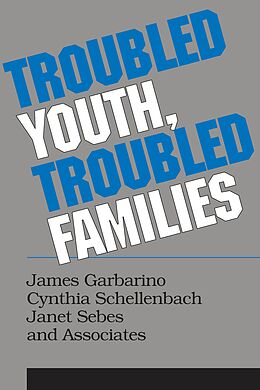 E-Book (pdf) Troubled Youth, Troubled Families von Cynthia Schellenbach