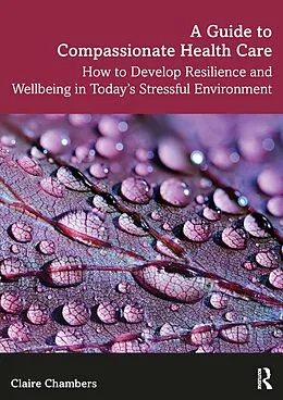 E-Book (pdf) A Guide to Compassionate Healthcare von Claire Chambers
