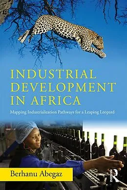 E-Book (pdf) Industrial Development in Africa von Berhanu Abegaz