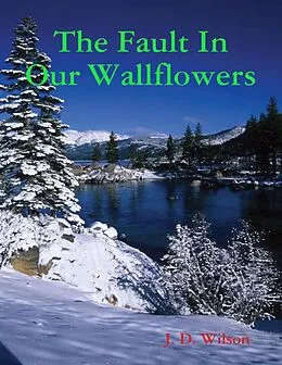 E-Book (epub) The Fault In Our Wallflowers von J. D. Wilson
