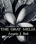 E-Book (epub) The Gray Meliá von Angelo Bell
