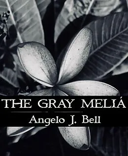 E-Book (epub) The Gray Meliá von Angelo Bell