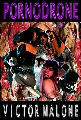 E-Book (epub) Pornodrone von Victor Malone