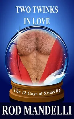 E-Book (epub) Two Twinks In Love (12 Gays of Xmas, #2) von Rod Mandelli