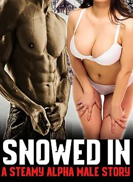 E-Book (epub) Snowed In: A Steamy Alpha Male Story von Catherine Hughes