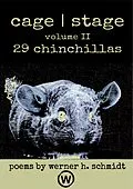 E-Book (epub) 29 Chinchillas (cage | stage, #2) von Werner Schmidt