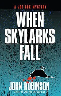 E-Book (epub) When Skylarks Fall von John Robinson