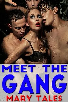 E-Book (epub) Meet The Gang von Mary Tales