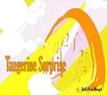 E-Book (epub) Tangerine Surprise (Susan Richards, #2) von Julie Ann Hough