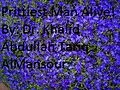 E-Book (epub) Prettiest Man Alive von Khalid Abdullah Tariq Al-Mansour