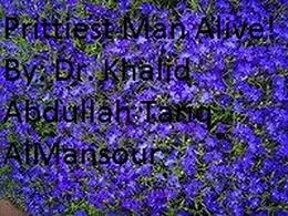 E-Book (epub) Prettiest Man Alive von Khalid Abdullah Tariq Al-Mansour