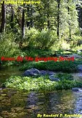 E-Book (epub) Picnic by the Gurgling Brook von Randall D Reynolds