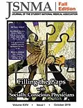 E-Book (epub) JSNMA Fall 2018 Filling the Gaps with Socially Conscious Physicians (Journal of the Student National Medical Association (JSNMA), #24.1) von Annyella Douglas, Kia Byrd, Leah Carter