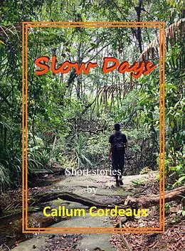 E-Book (epub) Slow Days von Callum Cordeaux