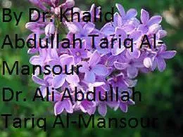 E-Book (epub) The Return of the Giants von Prince Ali AlMansour