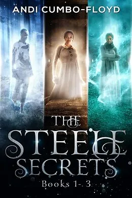 E-Book (epub) The Steele Secret Series Box Set von Andi Cumbo-Floyd