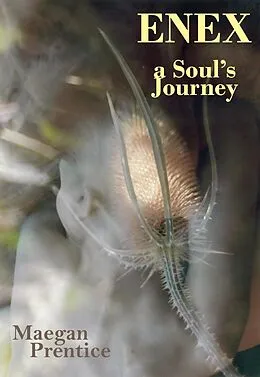 E-Book (epub) Enex - A Soul's Journey von Maegan Prentice