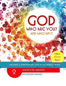 E-Book (epub) God Who Are You? And Who Am I? Knowing and Experiencing God by His Hebrew Names: Lessons in the Wilderness von Ann Morgan Miesner