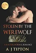E-Book (epub) Stolen by the Werewolf: A M-M Paranormal Romance (Werewolves of Singer Valley, #1) von Aj Tipton