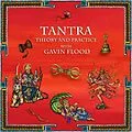 E-Book (epub) Tantra: Theory and Practice with Professor Gavin Flood (Hindu Scholars, #1) von Wise Studies, Gavin Flood