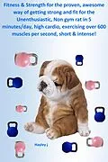 E-Book (epub) Fitness & Strength With the Proven, Awesome way of Getting Strong and Fit for the Unenthusiastic, Non Gym rat in 5 Minutes/day, High Cardio, Exercising Over 600 Muscles per Second, Short & Intense! von Hayley J