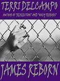 E-Book (epub) James Reborn von Terri DelCampo