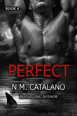 E-Book (epub) Perfect (Stranger) von N. M. Catalano
