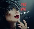 E-Book (epub) The Wig von P. J Wilson