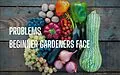 E-Book (epub) Problem Beginner Gardners Face von Shelley Rankin