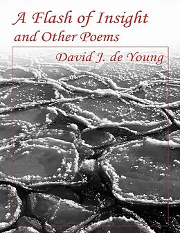E-Book (epub) A Flash of Insight and Other Poems von David J. de Young
