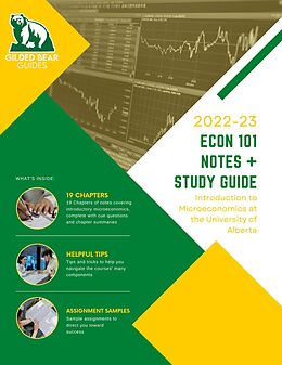 eBook (epub) ECON 101 Notes + Study Guide - Gold Version de Haneef Amusat