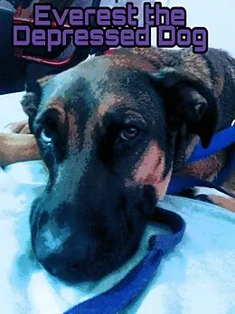 E-Book (epub) Everest the Depressed Dog von Katharine L Niffen