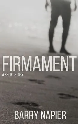 E-Book (epub) Firmament von Barry Napier